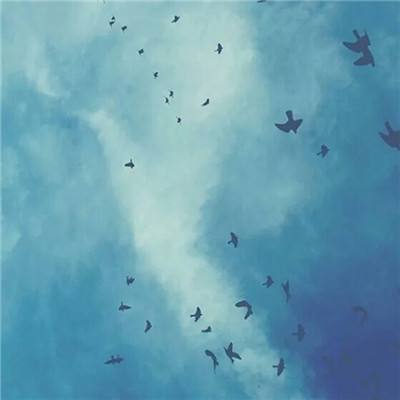 凤凰彩票APP下载