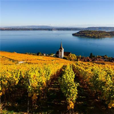 管家婆期期四肖四码中特管家手机app下载