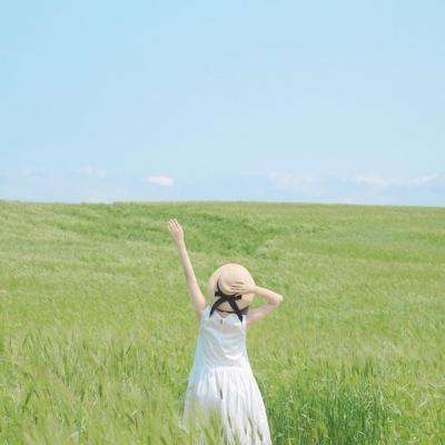 半岛综合娱乐app手机app下载