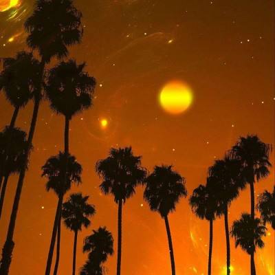 星空体育在线网页版