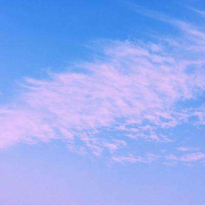 完美365体育ios下载