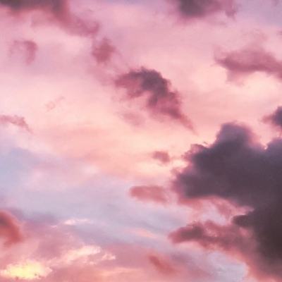 万博·体育app下载